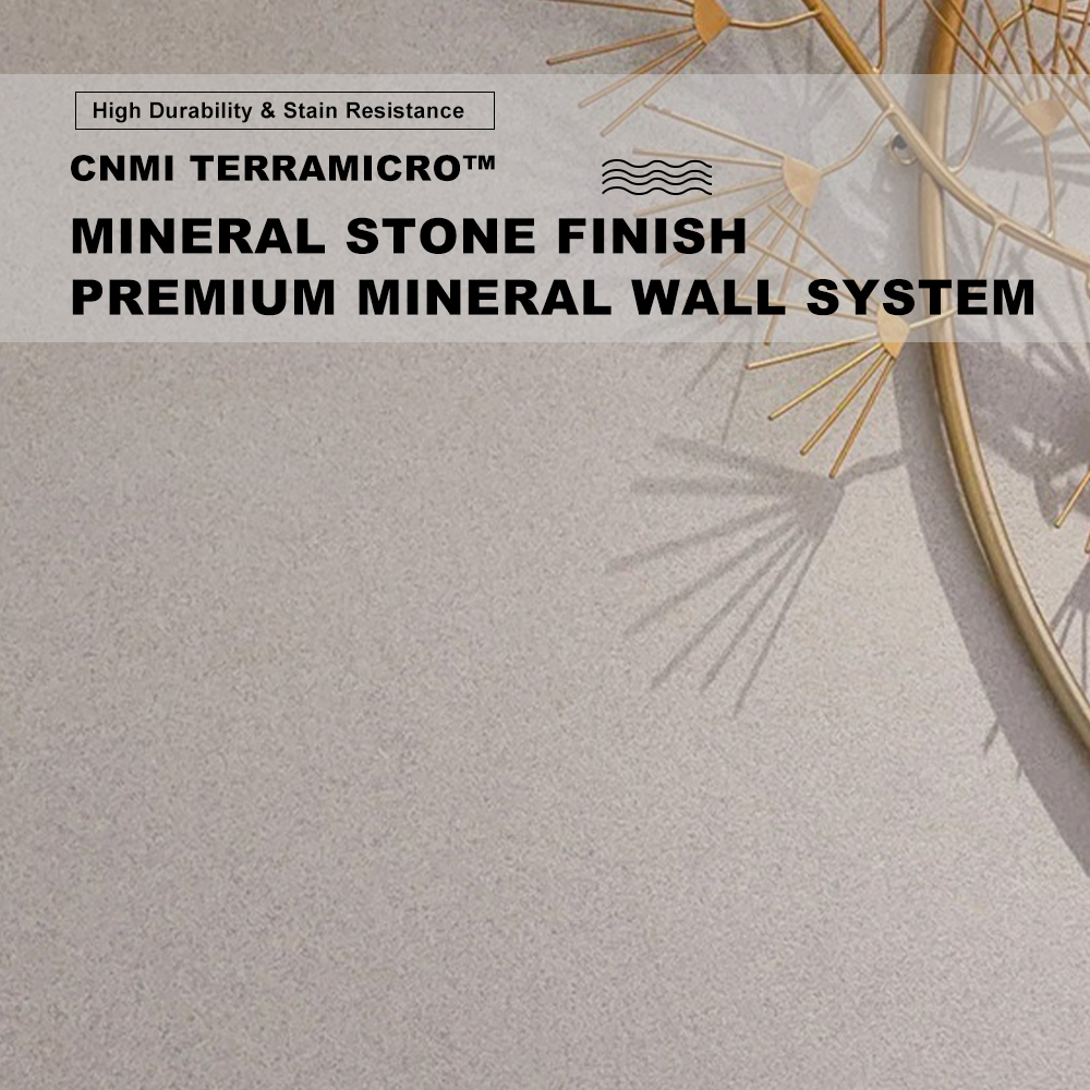 CNMI Mineral Decorative Wall Coating