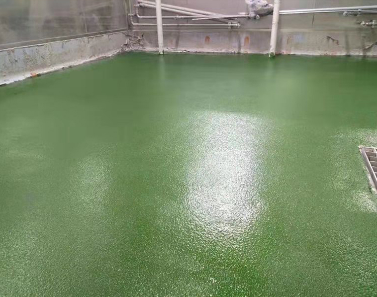 CNMI Polyurethane Coating Solution Designed for Food Industry Standards